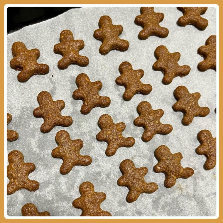 *Protein Bar* Gingerbread Man Cookie