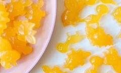 Homemade Fruit Gummies