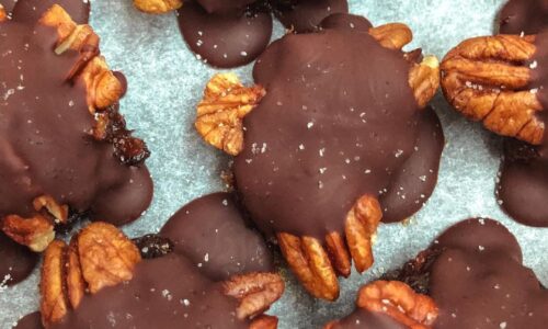 Raw Vegan Homemade Turtles