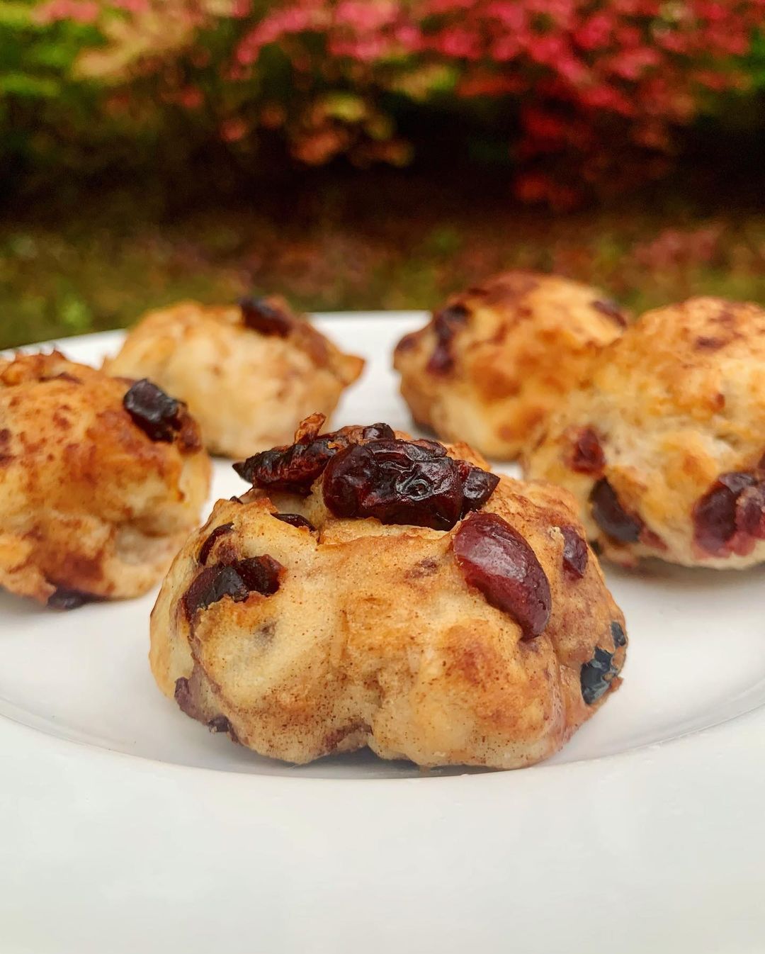 5 Ingredient Cinnamon Raisin Bagel Bites from @freshfitfoody ...