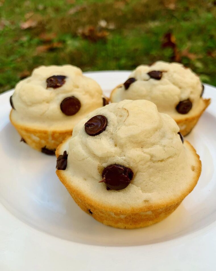 Chocolate Chip Protein Little Bites