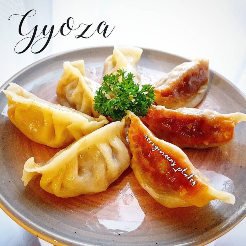 Gyoza (Japanese Potstickers) from engineers_plates