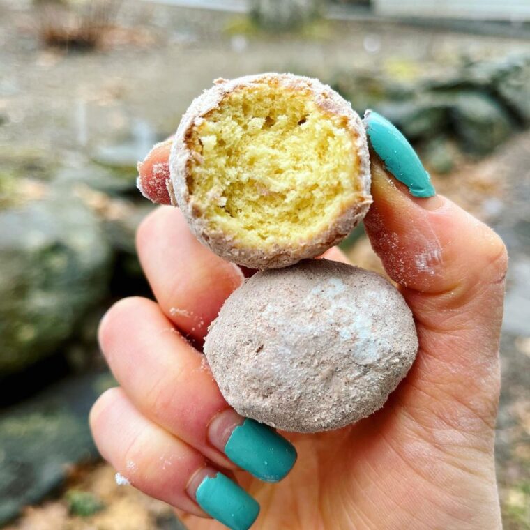 Pumpkin Protein Copycat Munchkins