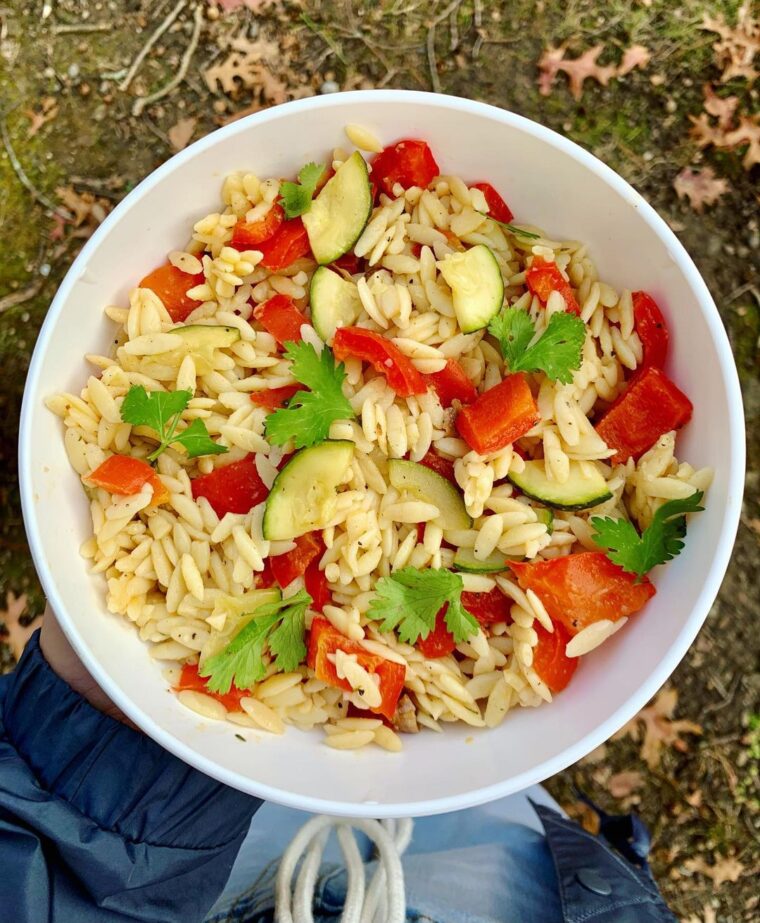 The Easiest Garlic Vegetable Orzo