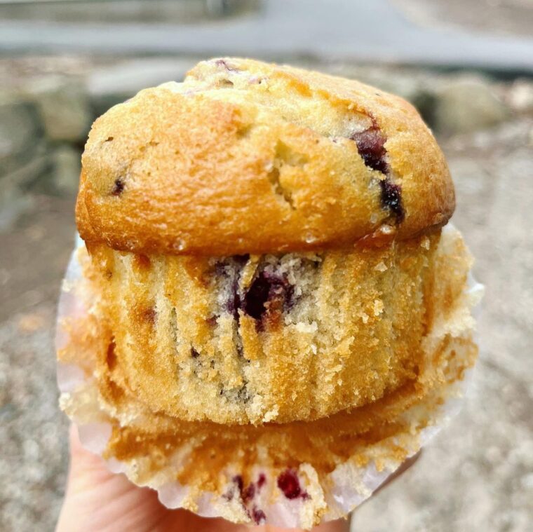 Vegan Blueberry Yogurt Oat Muffins