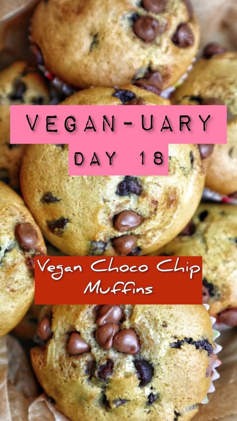 Vegan Choco Muffins
