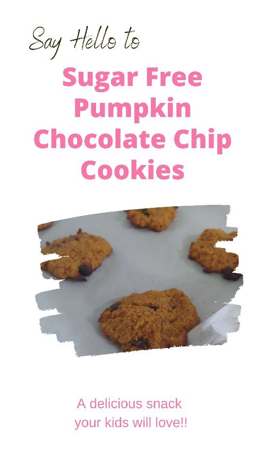 Pumpkin Chocolate Chip Cookies