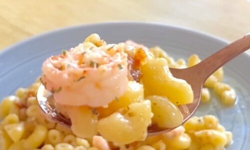 Shrimp Alfredo Pasta