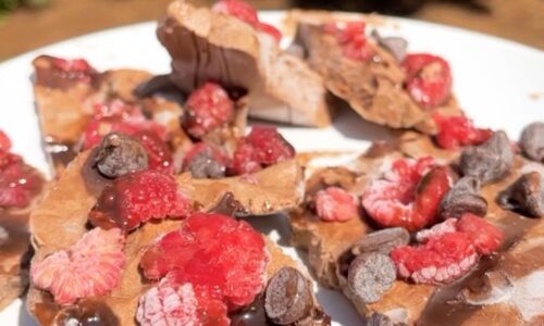 Dairy-free Chocolate Raspberry Froyo Bark - Snacks, Appetizers & Desserts dari Yogurt