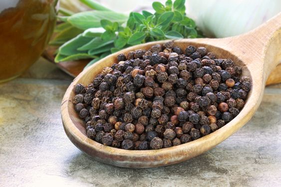 Indonesian Spices : Black Pepper – Piper nigrum