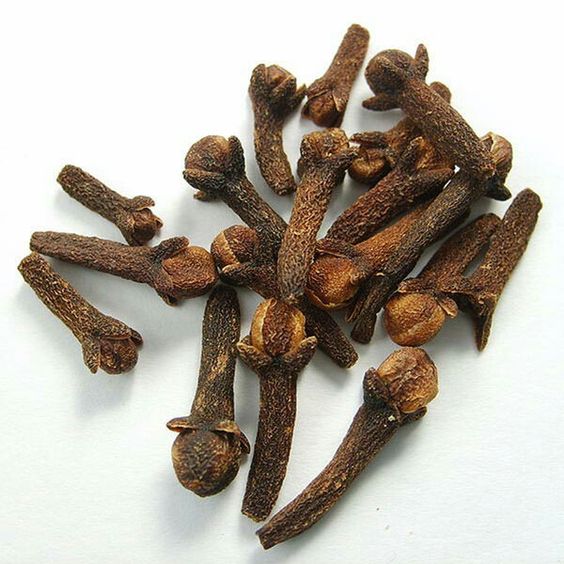 Indonesian Spices : Clove - syzygium aromaticum