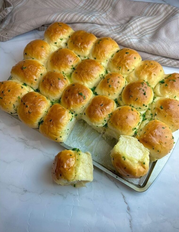 Dinner Rolls