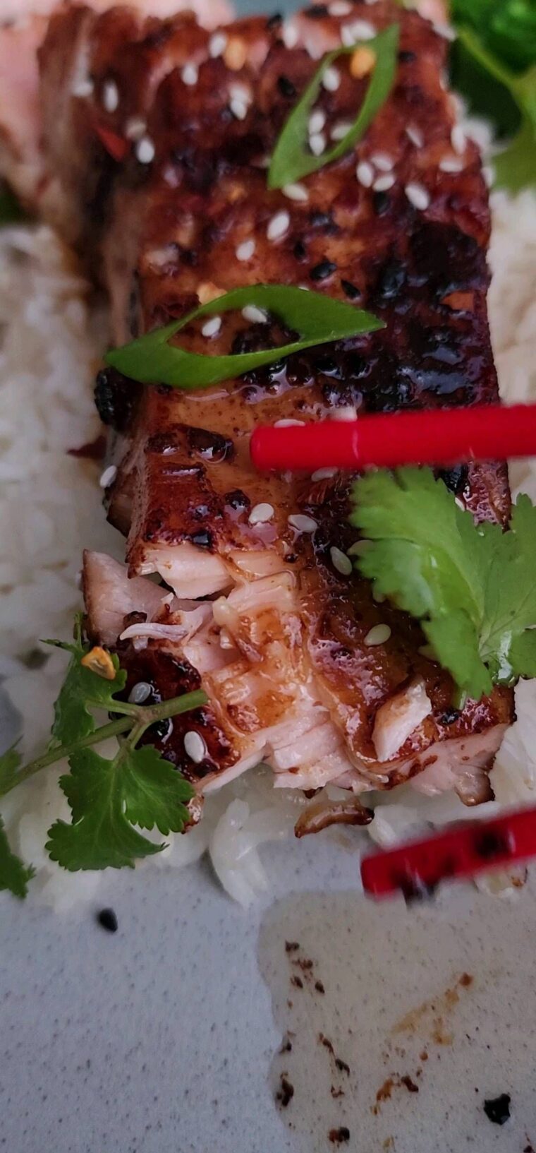 Honey Soy Salmon Fillets