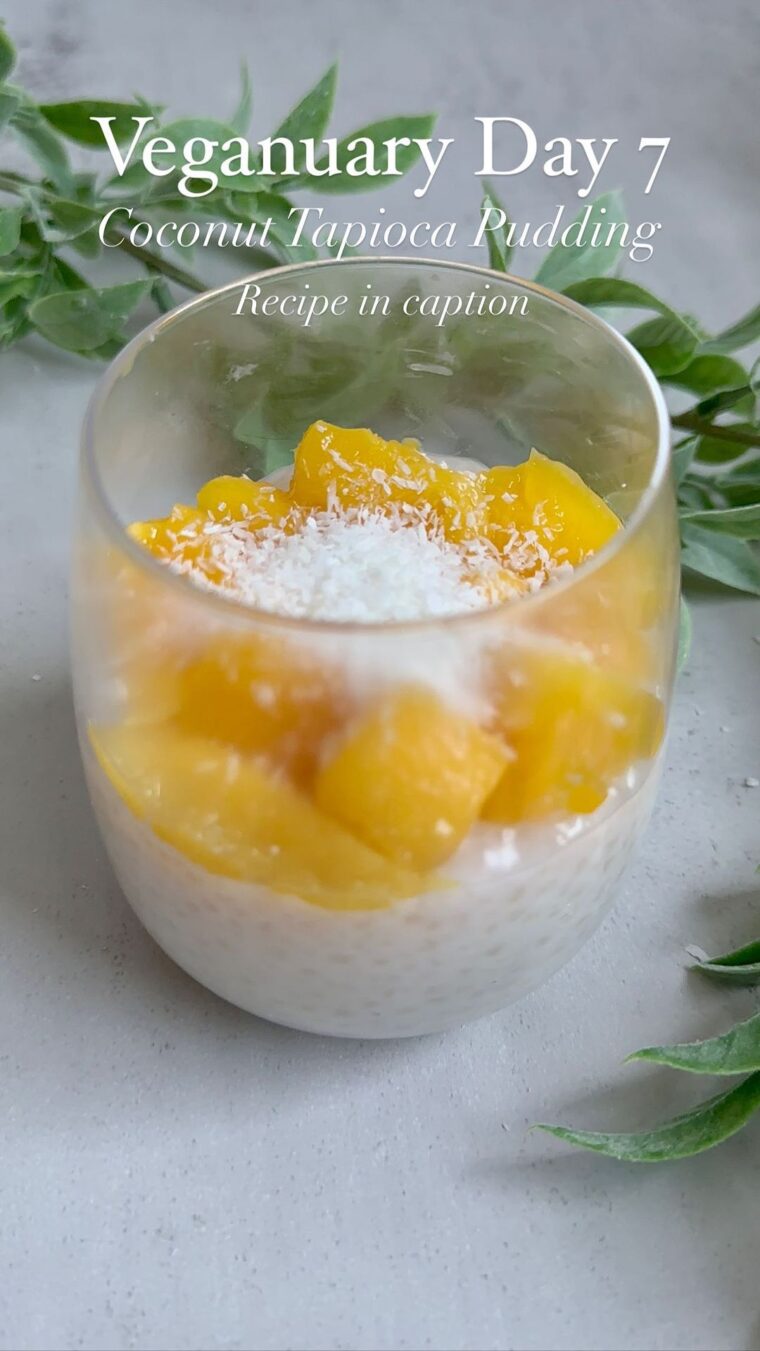 Coconut Tapioca Pudding