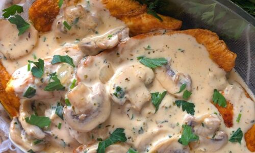 Creamy Chicken Mushroom - Food Recipes dari Mushroom
