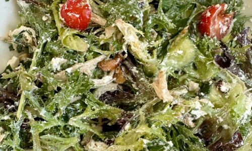 Creamy Chicken Salad With Cranberry And Cashews - Main Dishes dari Cranberry