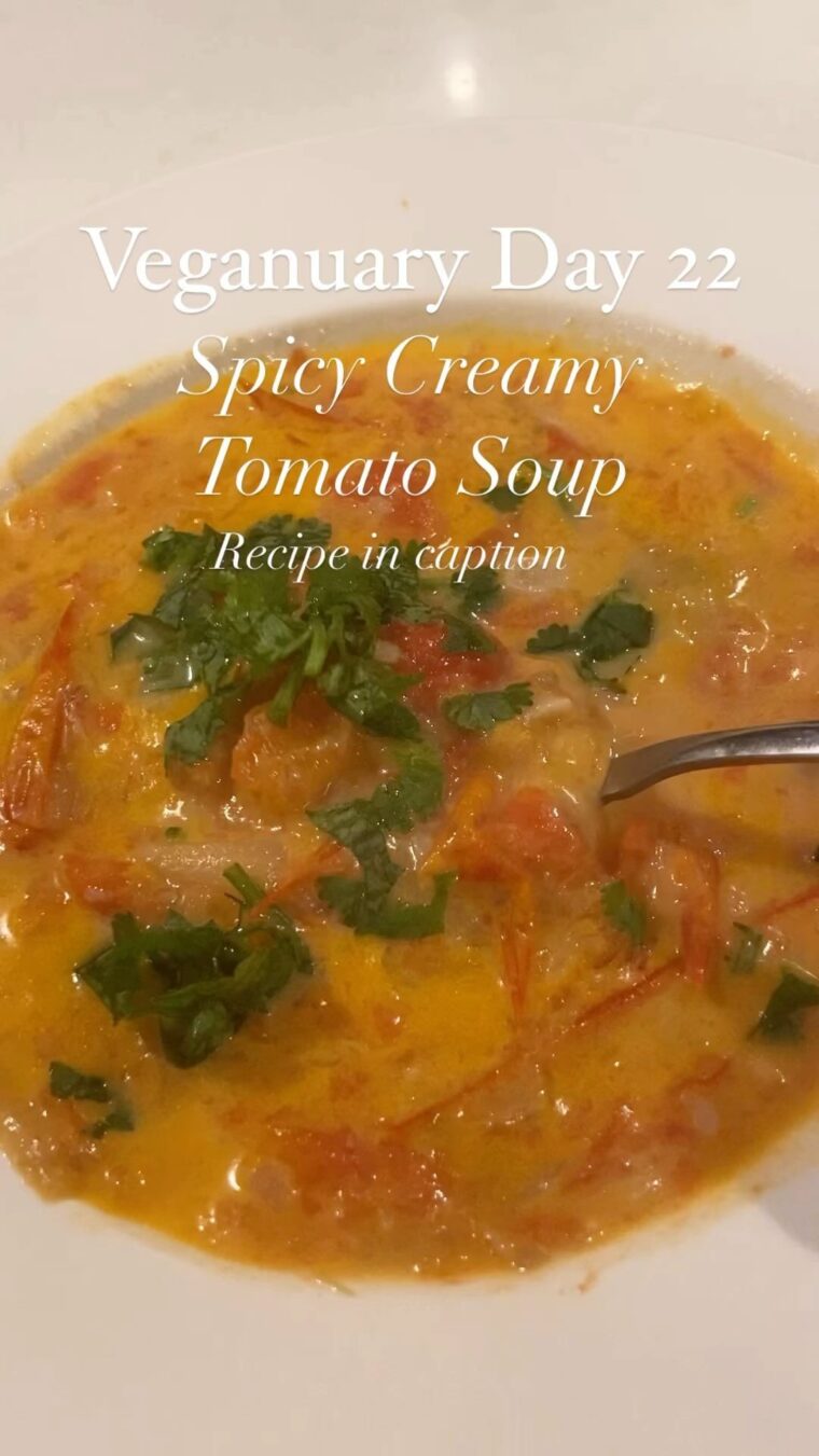Spicy Creamy Tomato Soup