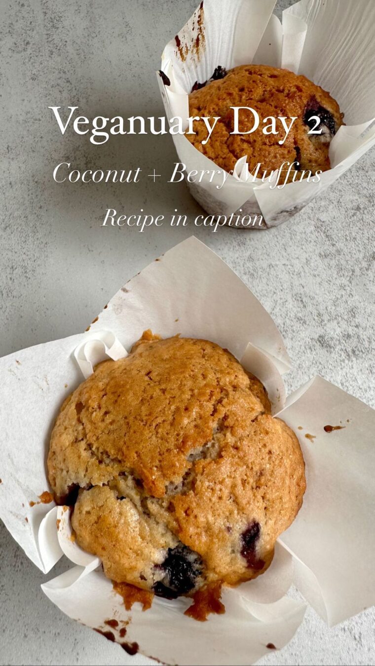 Vegan Coconut And Berry Muffins