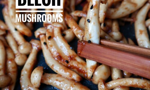 Soy Beech Mushrooms - Food Recipes dari Mushroom