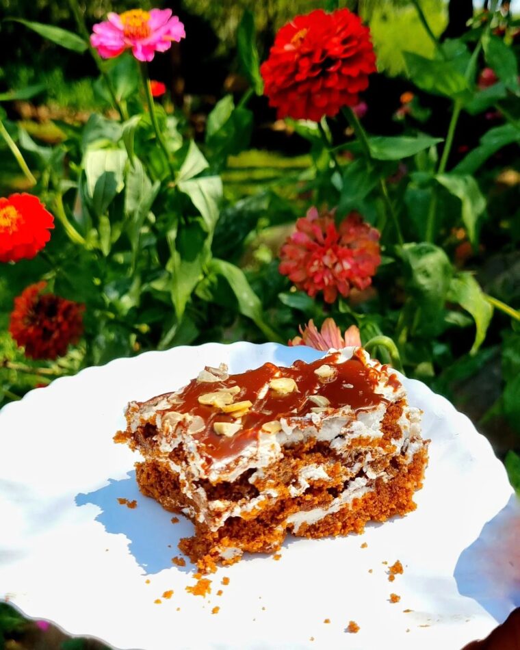 3 Ingredient Double Chocolate Cookies Delight