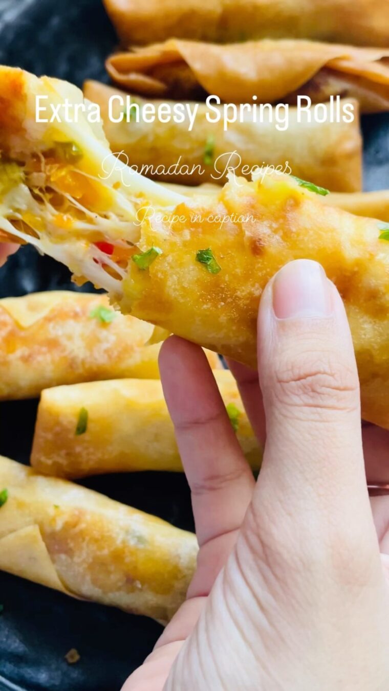 Extra Cheesy Spring Rolls With Chicken And Veggies