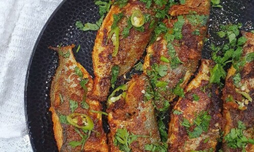 Pan Fried Fish - Food Recipes dari Fish