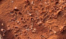 Tiramisu With No Alcohol