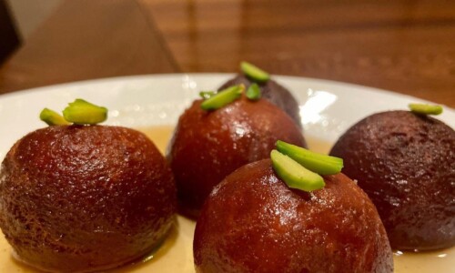 Air Fryer Gulab Jamun
