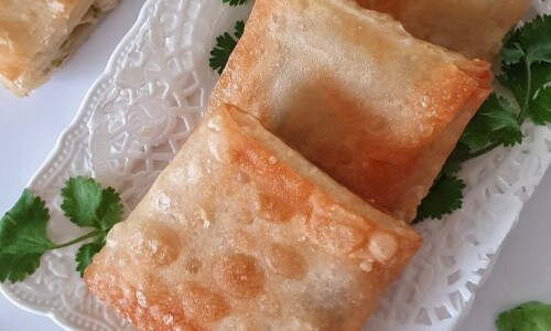 Chicken Square Samosa