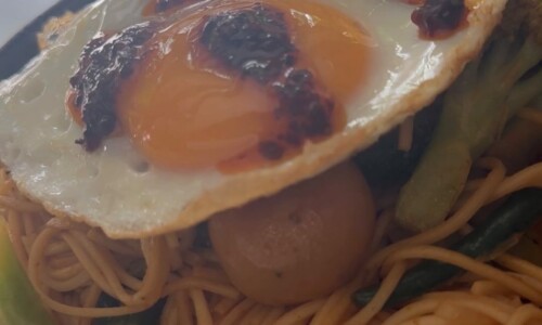Spicy Fried Egg Noodles