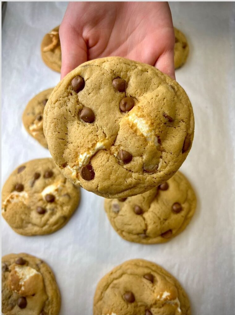 Chocolate Chip Marshmallow Cookies