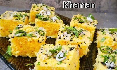 Microwave Nylon Khaman Dhokla