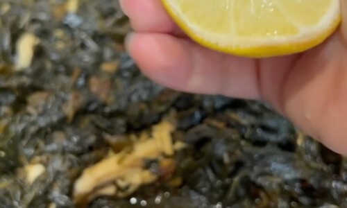 Malukhiyeh - Main Dishes Recipes dari Chicken