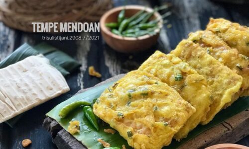 Tempe Mendoan