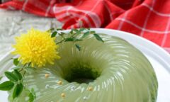 Resep Pudding Lumut Dari sucenlim_ind