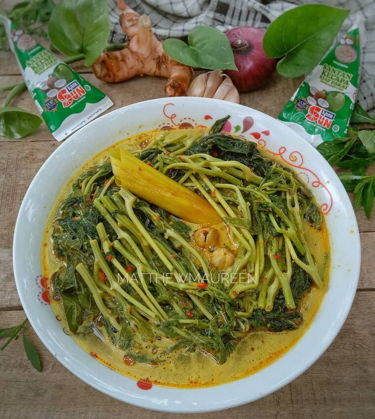 Resep Gulai Pucuk Daun Singkong Dari matthewmaureen
