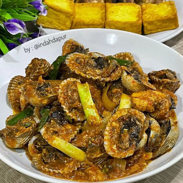 Resep Kerang Dara Saus Padang Dari indahdapur