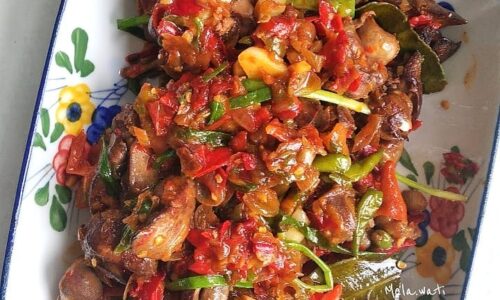 Oseng Mercon Ampela Ati