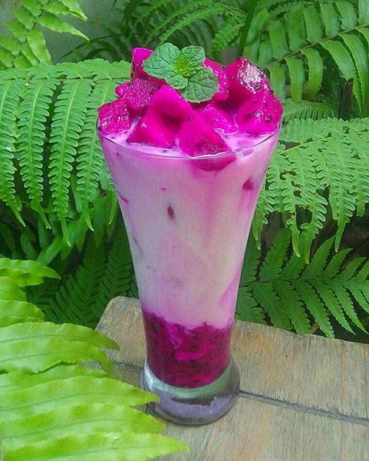 Resep Es Buah Naga Dari norita_foods