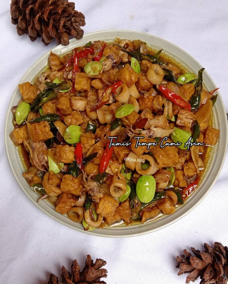 Resep Tumis Tempe Cumi Asin Dari kina.nrl