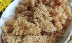 Resep Kremesan Dari elvynnofianti