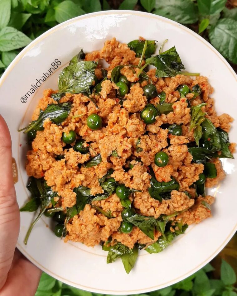 Resep Tumis Oncom Kemangi Dari malichatun88