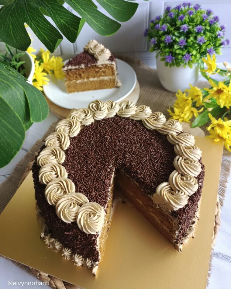 Resep Mocha Cake Toping Meses Dari elvynnofianti