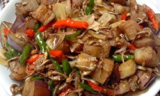 Resep Oseng Terong Ikan Teri Dari kina.nrl