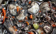 Resep Balakutak Pedas Dari dita_dwistyani