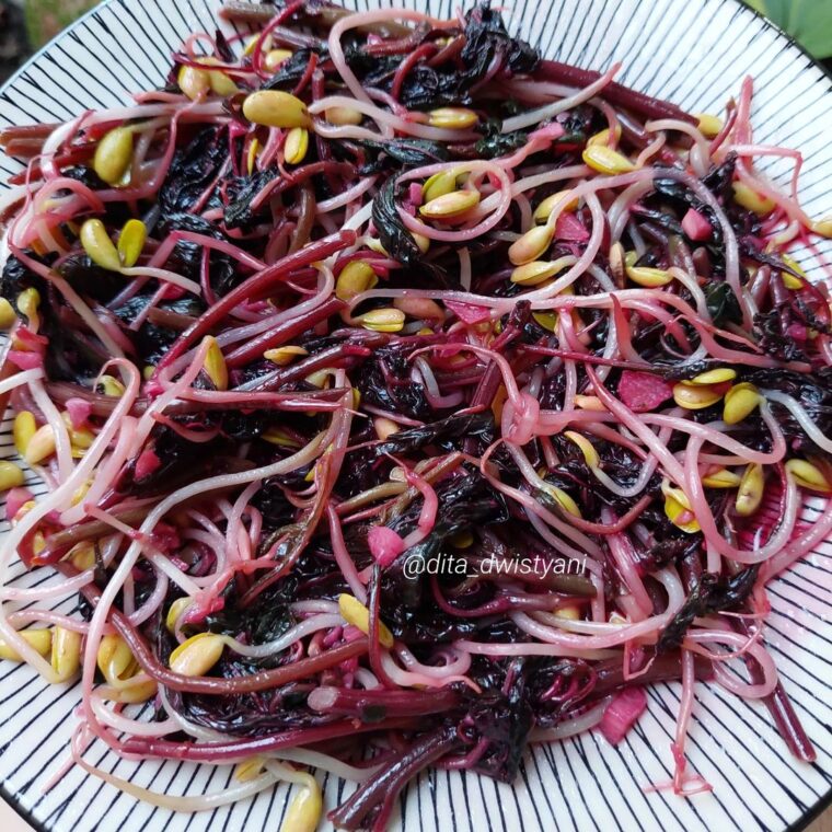 Resep Cah Bayam Merah Dari dita_dwistyani