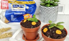 Resep Setup Roti Dalam Pot Tanaman Dari albiyansmom