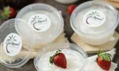 Resep Coconut Pudding Dari sarongsarie