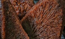 Resep Bolu Karamel Sarang Semut Dari rachveda