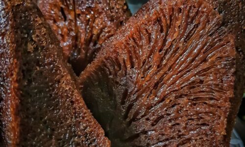 Bolu Karamel Sarang Semut